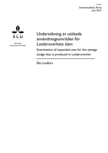 Elin Lindfors - DiVA