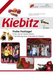 Kiebitz Winter 2012 - Alterszentrum Park