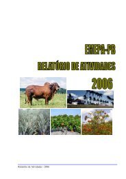RelatÃ³rio de Atividades - 2006 - Emepa