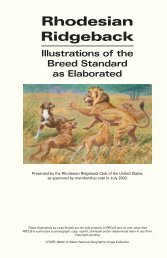 Illustrated Standard - The Rhodesian Ridgeback Club of the United ...