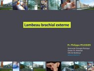 Lambeau brachial externe - e-plastic.fr