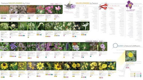 Wildflowers Routes Map - Lake County