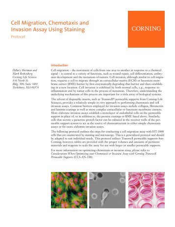 Cell Migration, Chemotaxis and Invasion Assay Using Staining ...