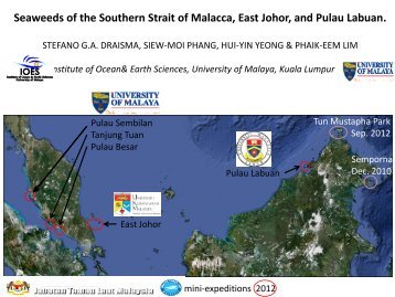 Seaweeds of the Southern Strait of Malacca, East Johor, and Pulau ...