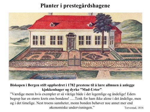 Planter i prestegårdshagene