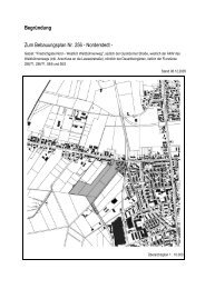 Zum Bebauungsplan Nr. 256 - Frederikspark