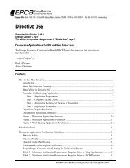 Directive 065: Resources Applications for Oil and Gas Reservoirs ...