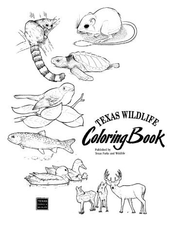 Texas Wildlife Coloring Book â TPWD