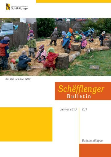 Bulletin 207 en PDF - Schifflange