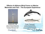 Effects of offshore Wind Farms on Marine Mammals and Fish â The ...