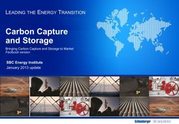 Carbon Capture & Storage Factbook - Schlumberger Business ...