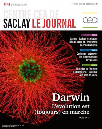 Cellule gliale fournissant des protéines (en vert ... - CEA Saclay