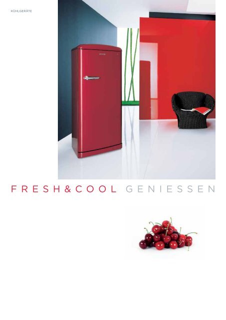 Pdf Katalog - Gorenje