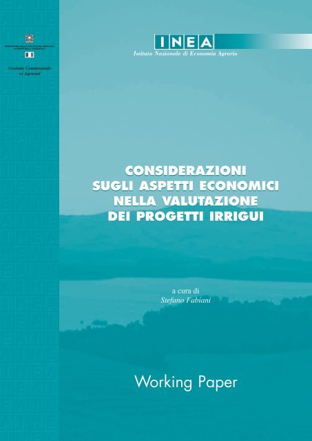 Considerazioni sugli aspetti economici  nella valutazione dei ... - Inea