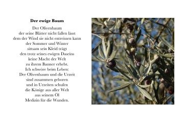 Der ewige Baum.pdf - oliven-baum-kraft