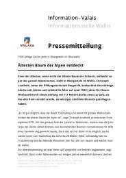 Pressemitteilung