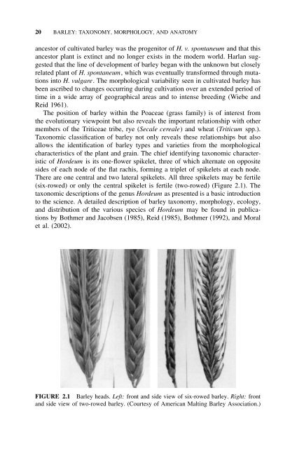 Barley for Food and Health: Science, Technology, and Products