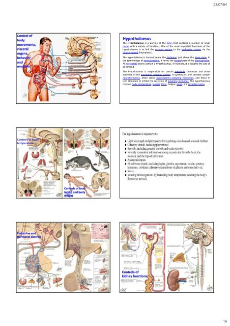 Neurological Examination, clinical cases and neuropsychological ...