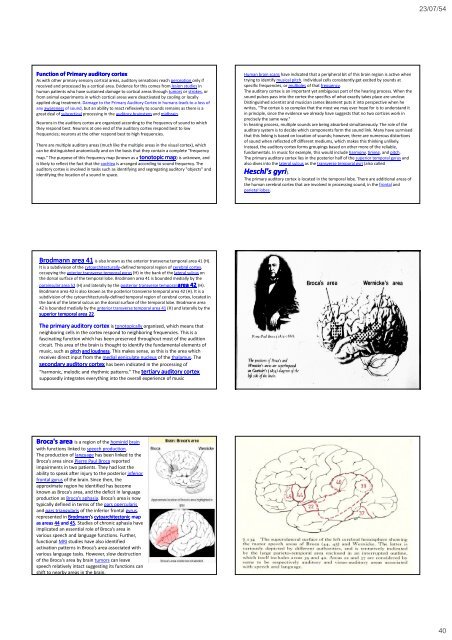 Neurological Examination, clinical cases and neuropsychological ...