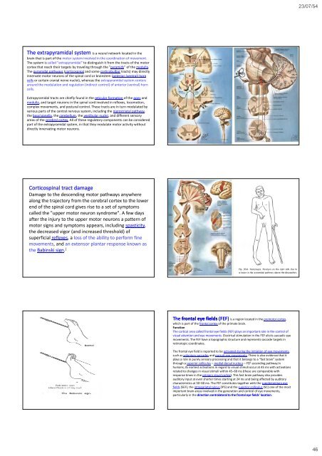 Neurological Examination, clinical cases and neuropsychological ...