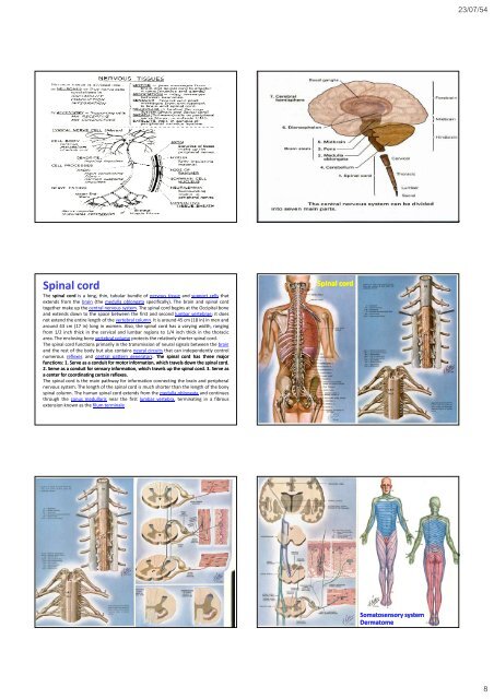 Neurological Examination, clinical cases and neuropsychological ...