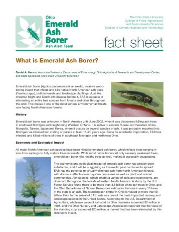 fact sheet - Emerald Ash Borer