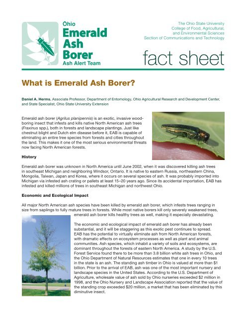 fact sheet - Emerald Ash Borer