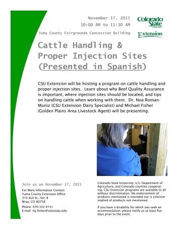 Cattle Handling & Proper Injection Sites (Presented in Spanish)