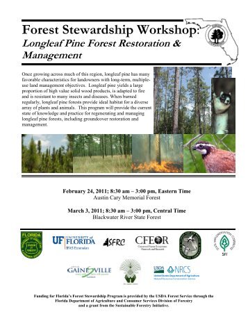 Longleaf Pine Forest Restoration & Management - School of Forest ...