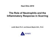 The Role of Neutrophils and the Inflammatory Response in Scarring