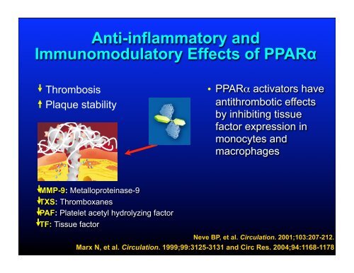 Fibrate Mechanism of Action - The Center for Cholesterol Management