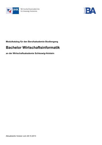 Bachelor Wirtschaftsinformatik - Wirtschaftsakademie Schleswig ...