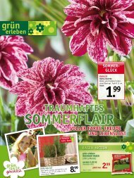 sommer - Gartencenter Fahr Dornstetten