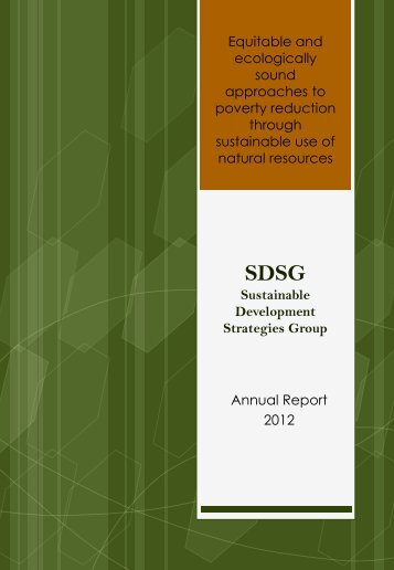 2012 Annual Report - SDSG