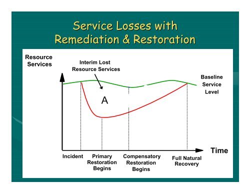 Overview of Natural Resources Damage Assessment and Restoration