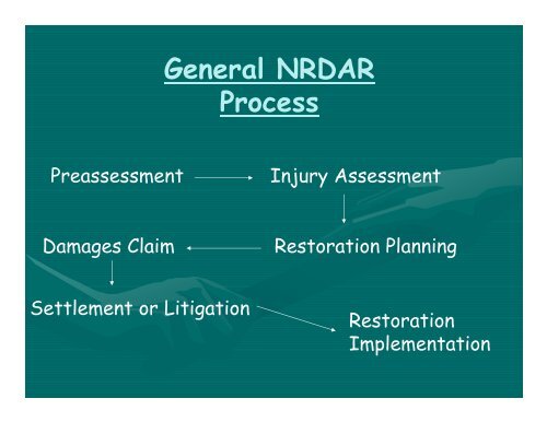Overview of Natural Resources Damage Assessment and Restoration