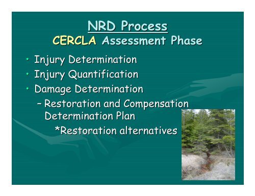 Overview of Natural Resources Damage Assessment and Restoration