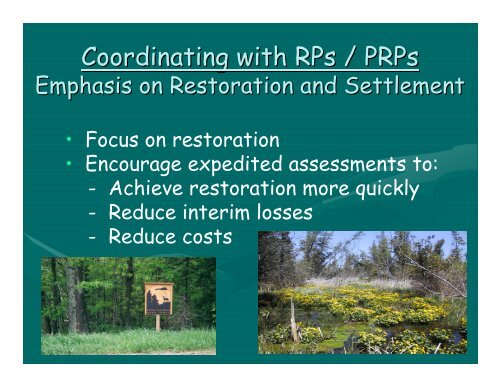 Overview of Natural Resources Damage Assessment and Restoration