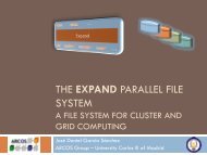 THE EXPAND PARALLEL FILE SYSTEM - Arcos