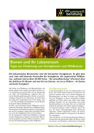 Bienen und ihr Lebensraum