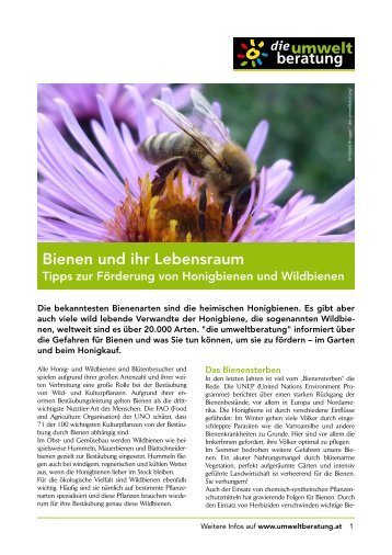 Bienen und ihr Lebensraum