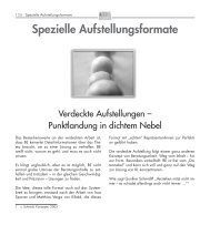 Verdeckte Aufstellungen (PDF) - Systemische Aufstellung mit dem ...