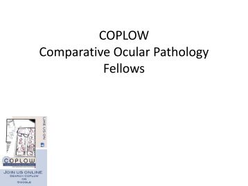 COPLOW Comparative Ocular Pathology Fellows - University of ...