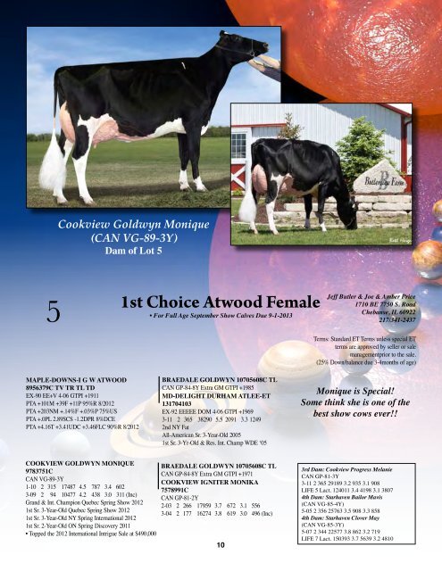 1st Choice Female - Holstein World Online