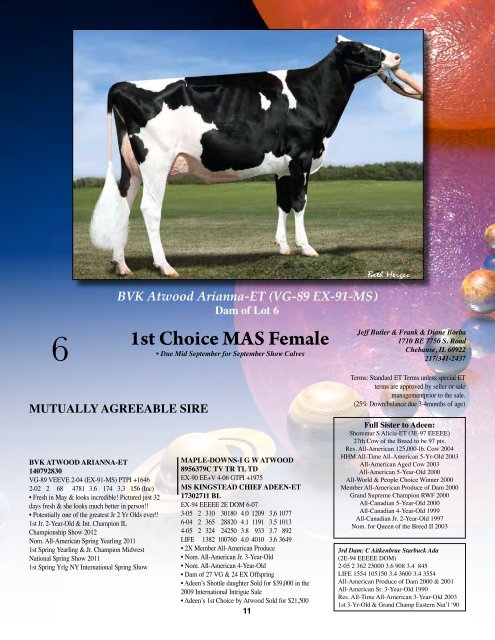 1st Choice Female - Holstein World Online