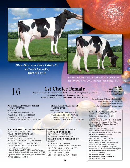 1st Choice Female - Holstein World Online