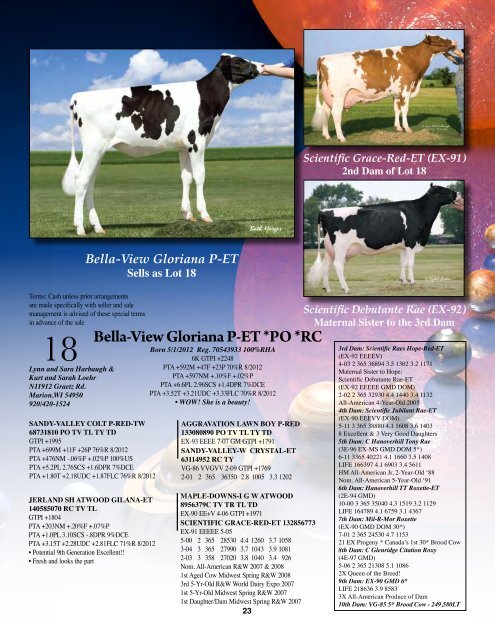 1st Choice Female - Holstein World Online