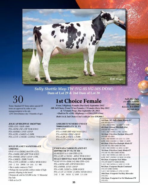 1st Choice Female - Holstein World Online