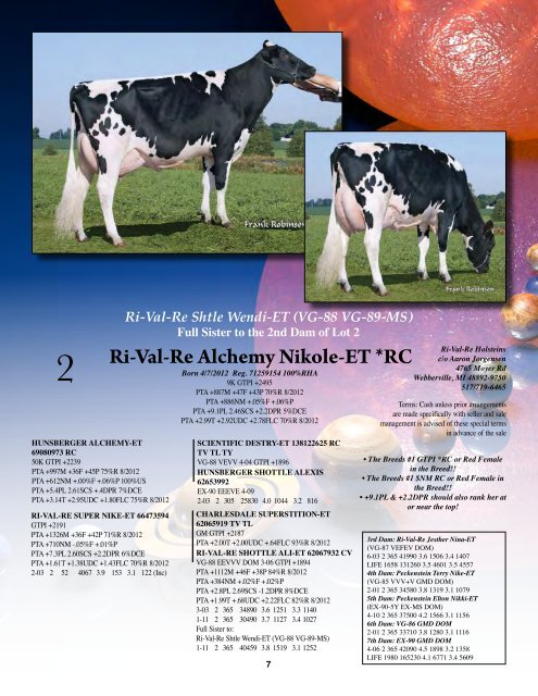 1st Choice Female - Holstein World Online