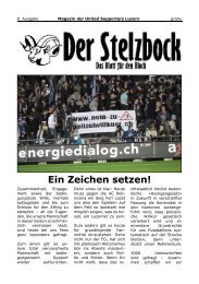 Der Stelzbock - Das Blatt für den Block», 8. Ausgabe (PDF - 1,08 MB)